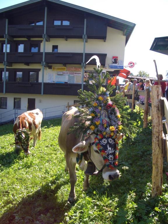 Moida-Ferienwohnung Fügen Rom bilde
